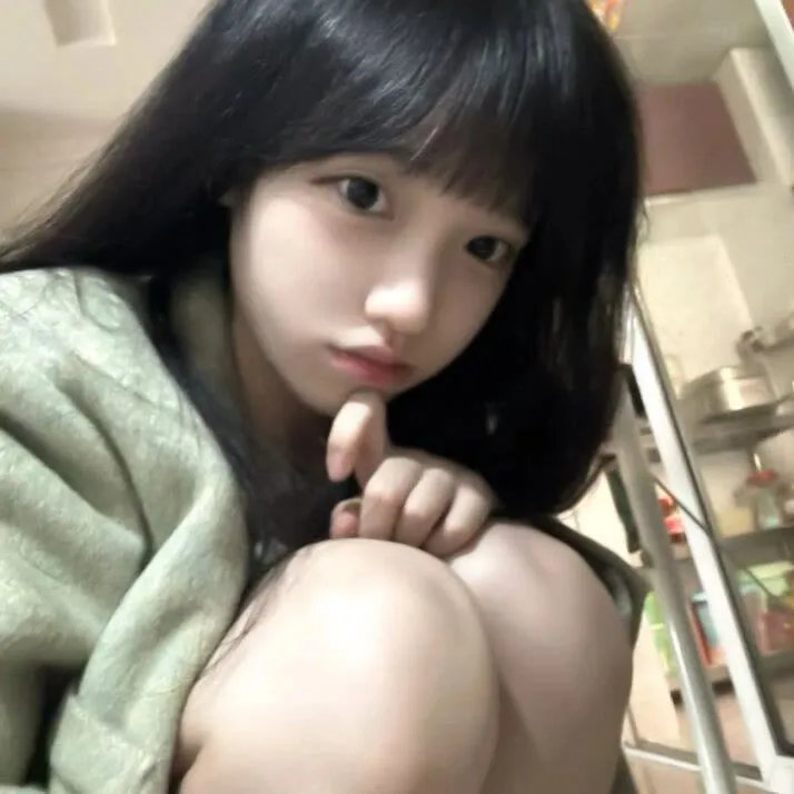火之鸟772